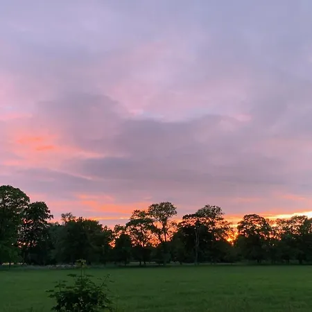 Eichenkaten 펜션 *