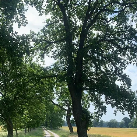 Eichenkaten 클루이스